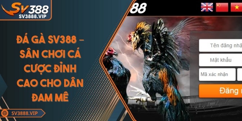 Đá gà SV388