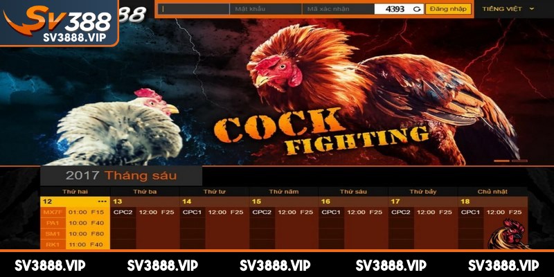 SV388 hướng tới vị thế thương hiệu giải trí trực tuyến hàng đầu thế giới