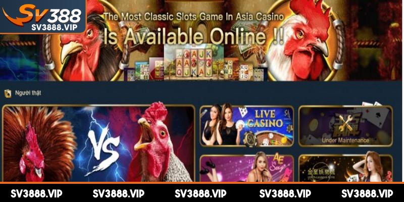SV388 chính thức gia nhập thị trường đổi thưởng trực tuyến vào năm 2015