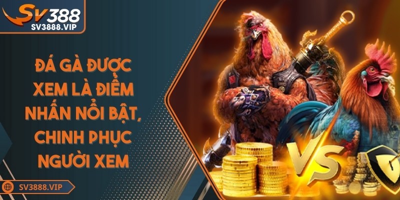 Đá gà được xem là điểm nhấn nổi bật, chinh phục người xem của SV388